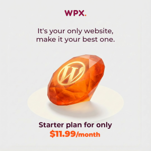WPX powerful hosting services with Fast Speeds, Excellent Security for ONE Site.